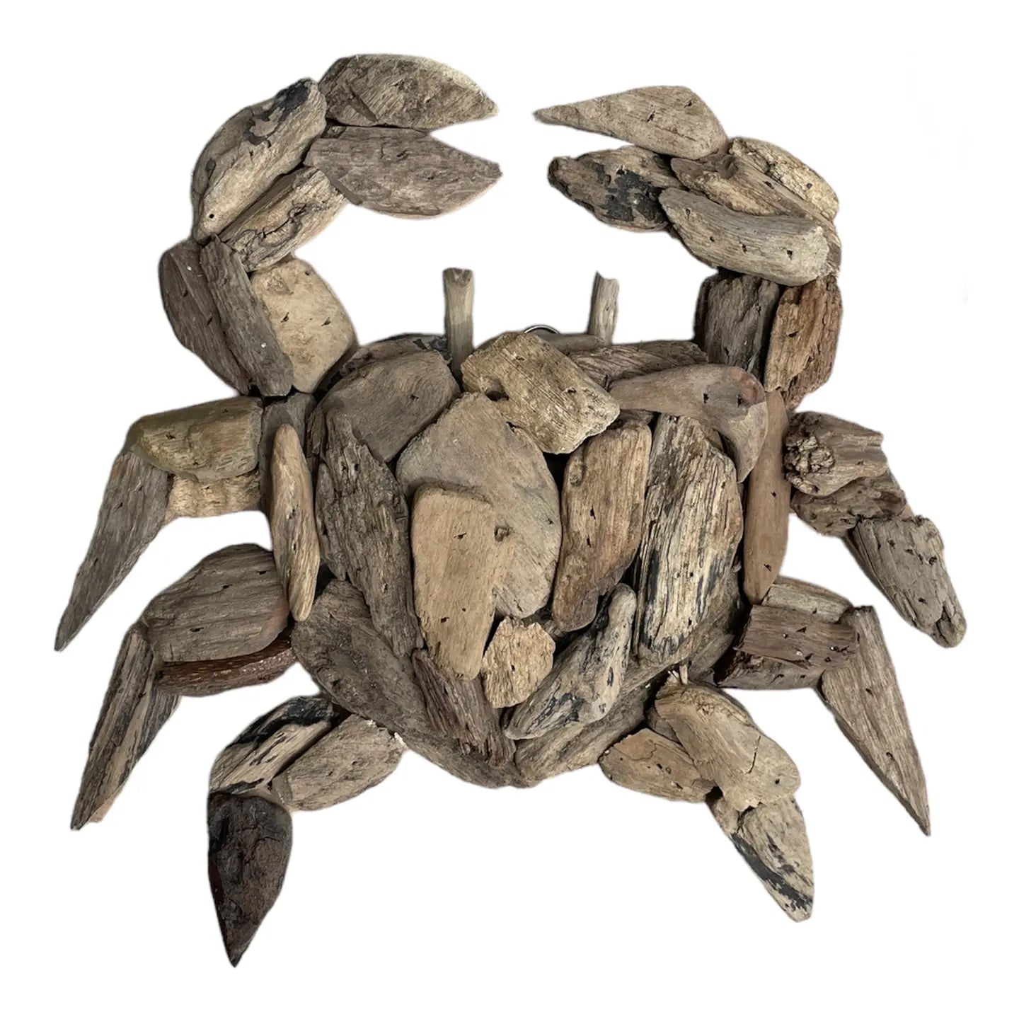 Driftwood Crab